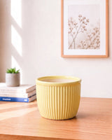 Vertical Textured Ceramic Planter
