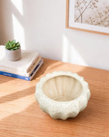 Oatmeal Bowl Ceramic Planter