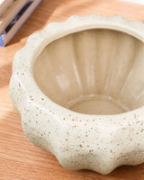 Oatmeal Bowl Ceramic Planter