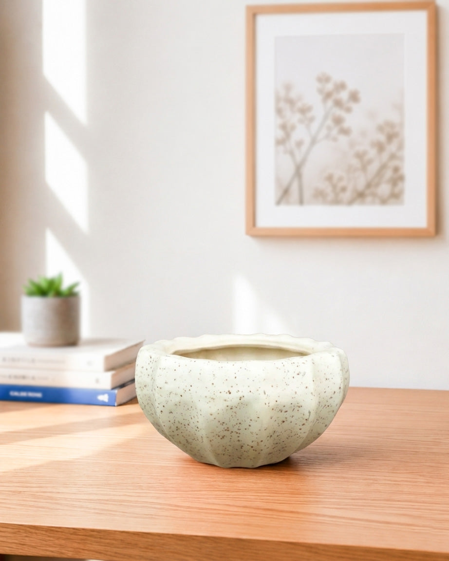 Oatmeal Bowl Ceramic Planter
