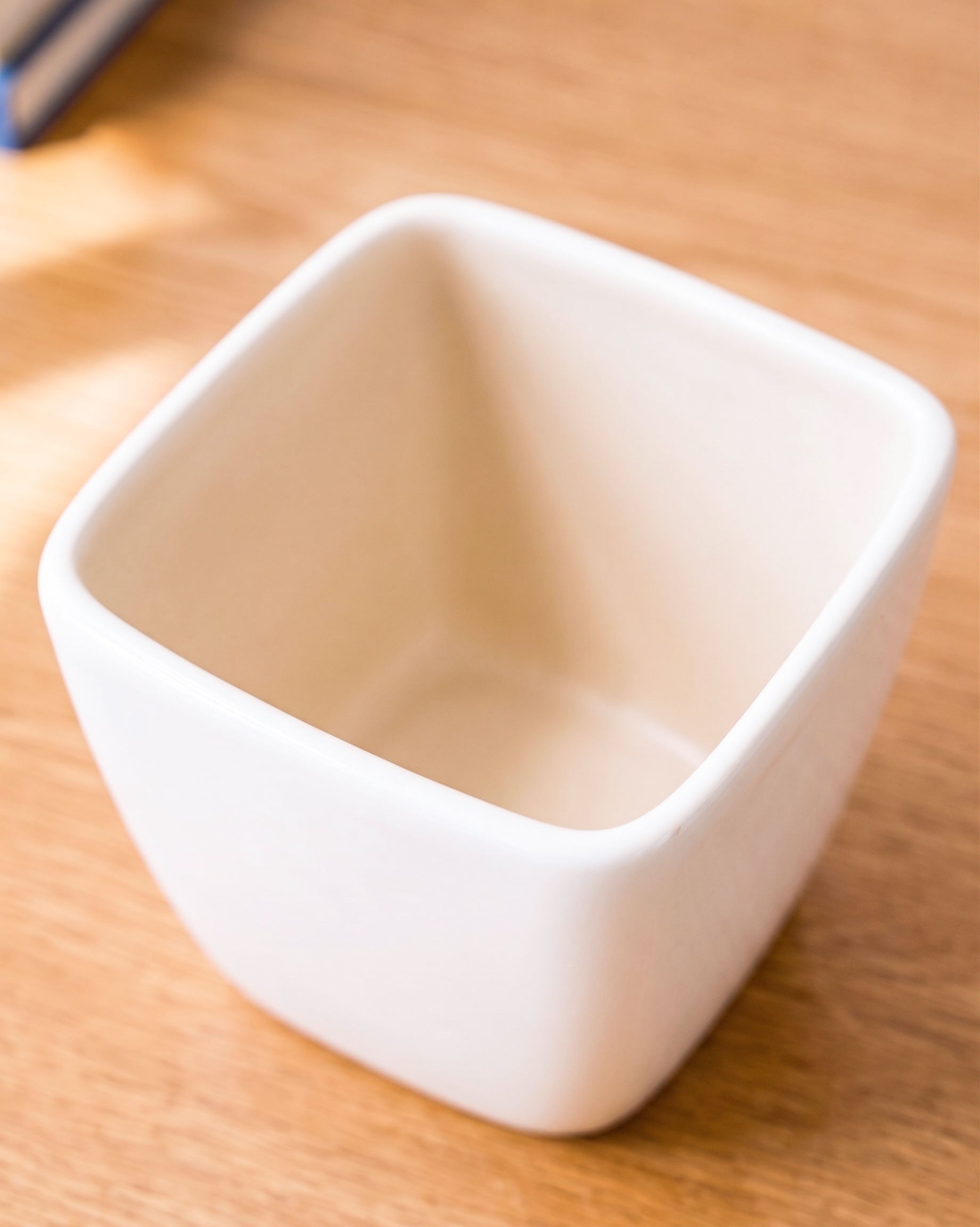 Ceramic Square Pot