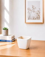 Ceramic Square Pot