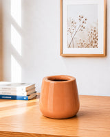 Glossy Minimal Ceramic Planter