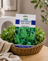 Coriander Kalmi