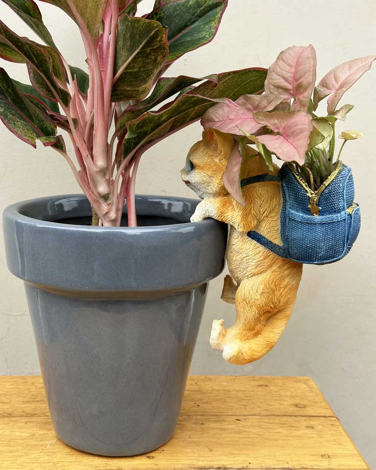 Cat Planter Accessory