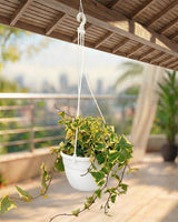 English Ivy Basket