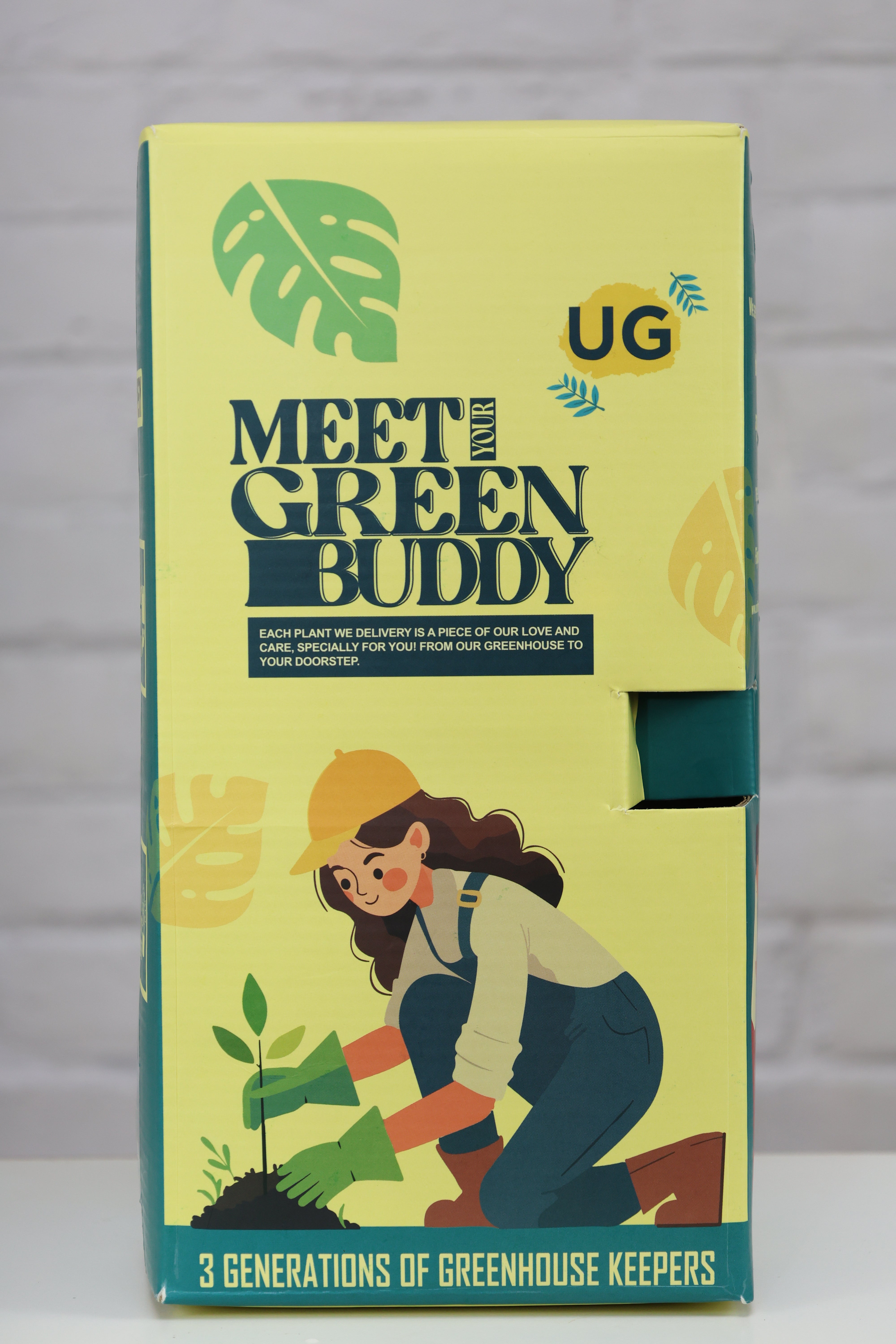 Philodendron Broken Heart Plant in Brown Eco Planter with Mother’s Day Greeting Card – Best Indoor Plant Gift for Mom