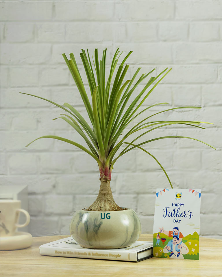 gift for fathers day