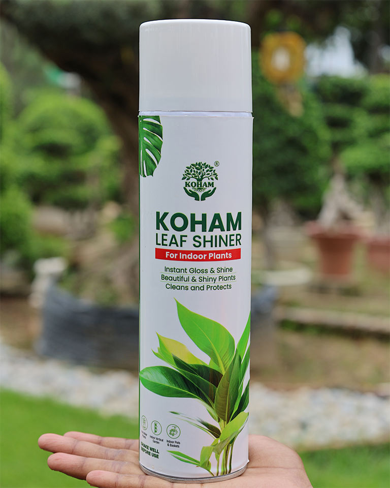 leaf shinner for plants
