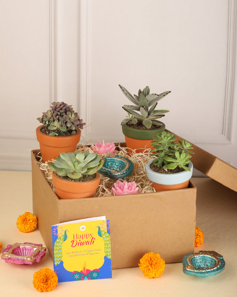 Best Gifts for Father's Day 2021: Plants! - Peace, Love & Happiness Club