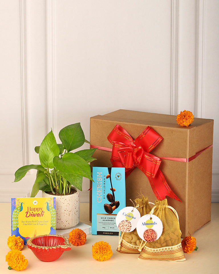 Premium Diwali Gift Hamper With Plants