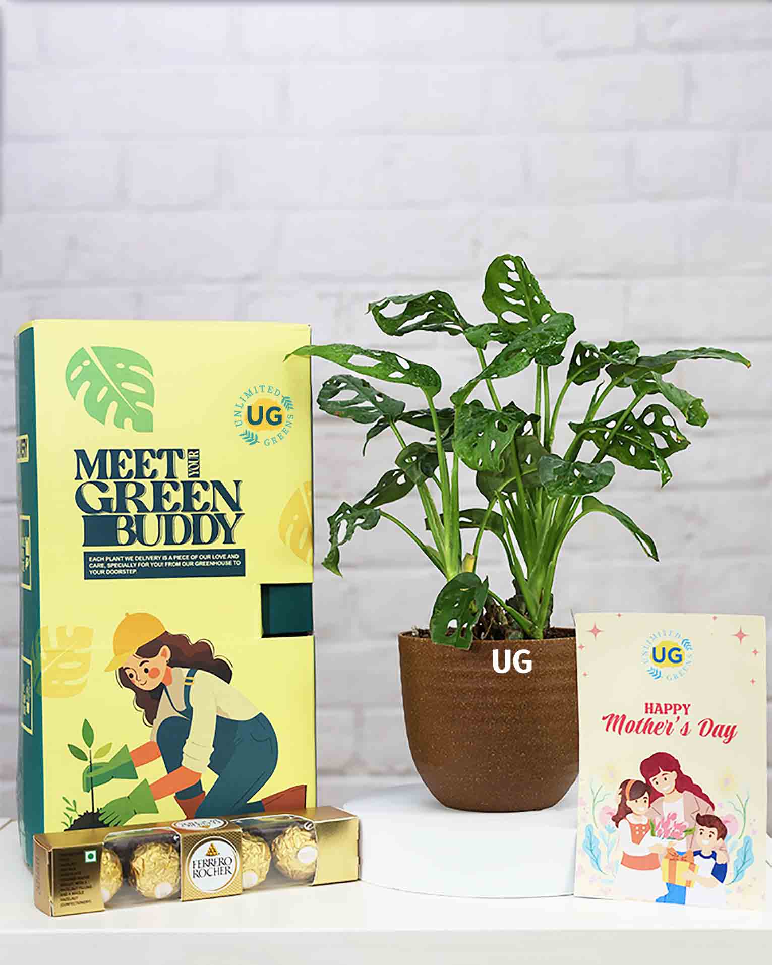 Philodendron Broken Heart Plant in Brown Eco Planter with Mother’s Day Greeting Card – Best Indoor Plant Gift for Mom