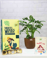 Philodendron Broken Heart Plant in Brown Eco Planter with Mother’s Day Greeting Card – Best Indoor Plant Gift for Mom
