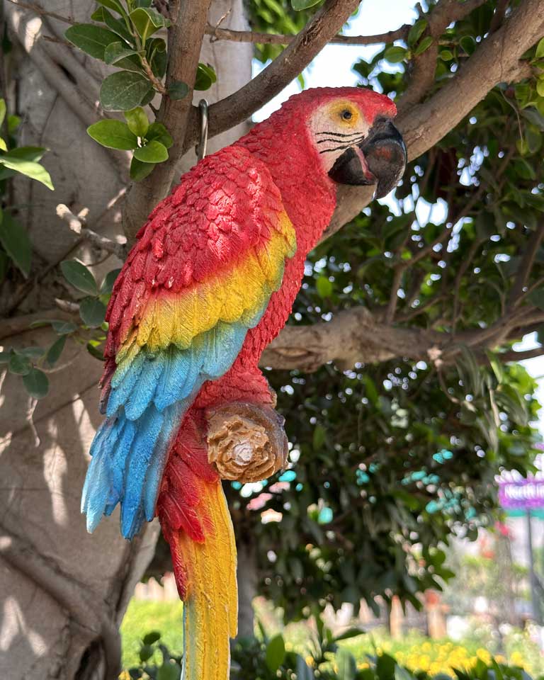 Hanging Parrot