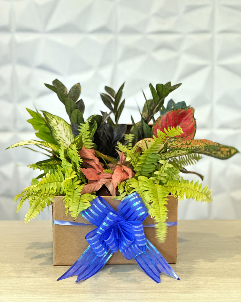 Plant Bouquet Box