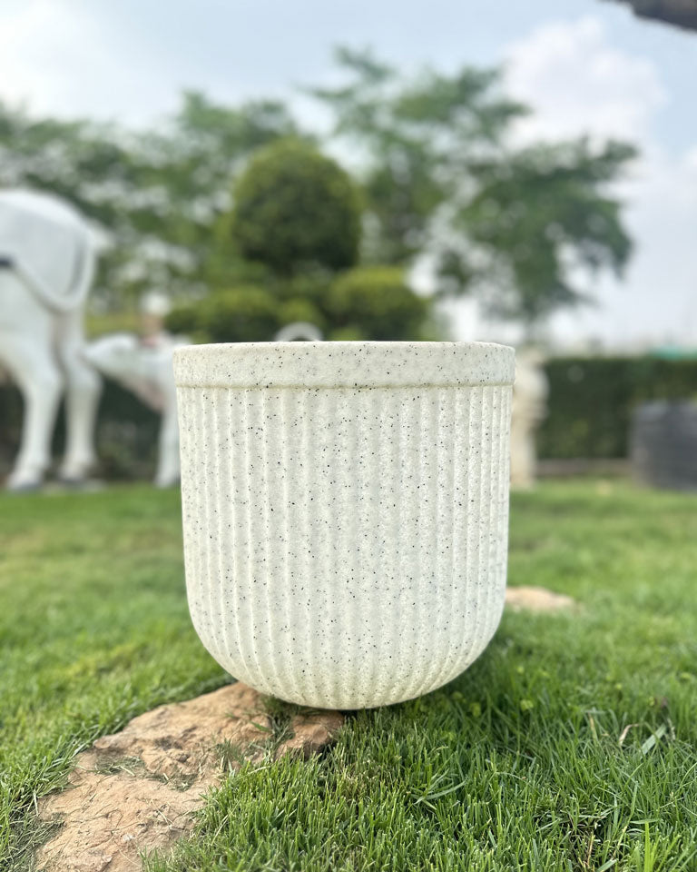 Buy Tokyo Planters Online in Delhi