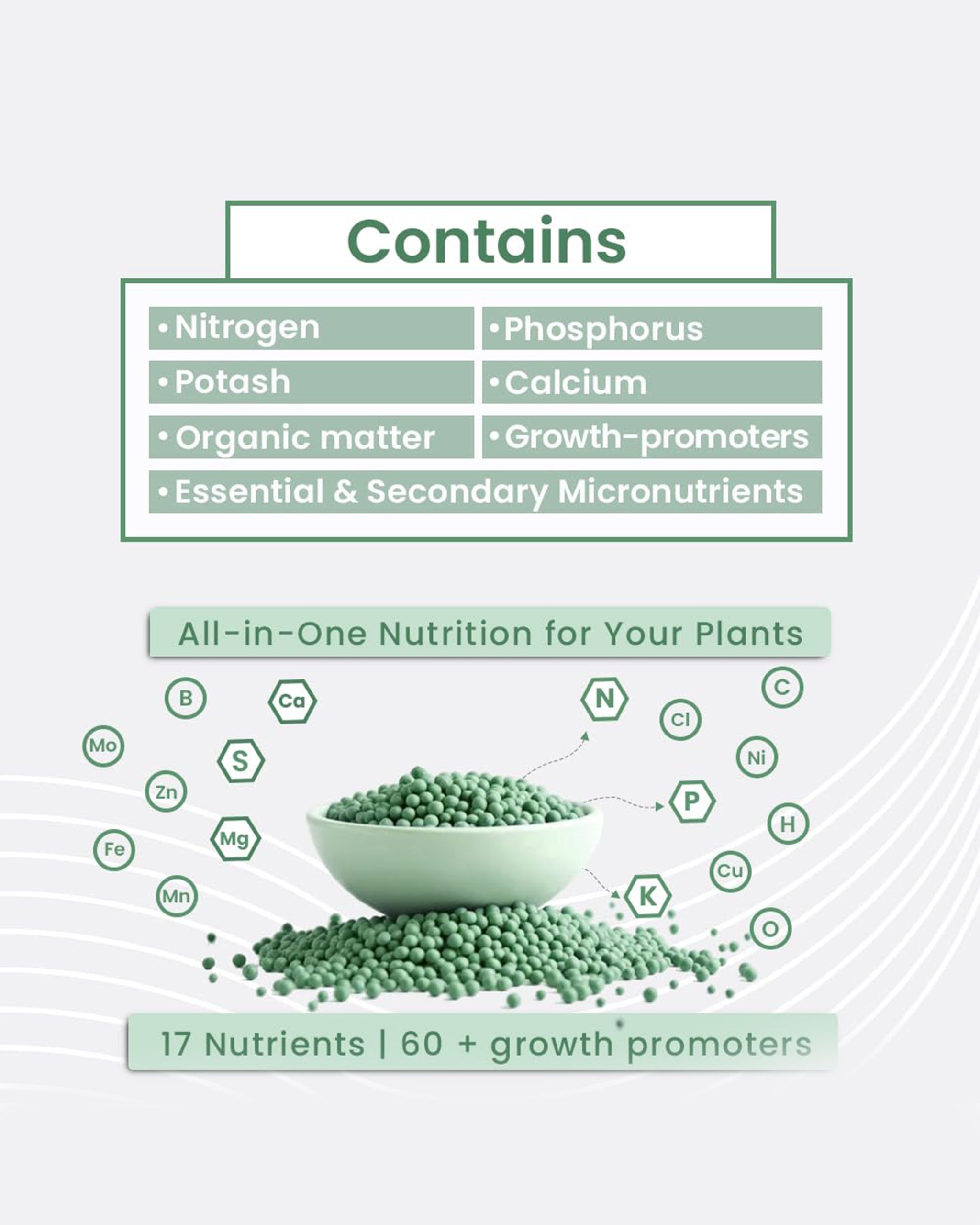 Green Diet