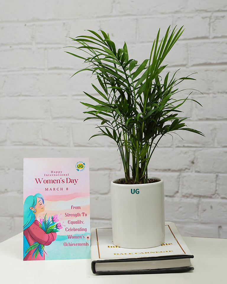 Chamaedorea- Women's Day Edition
