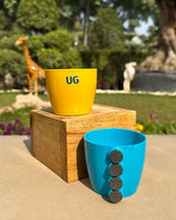 Magnetic Wall Planters