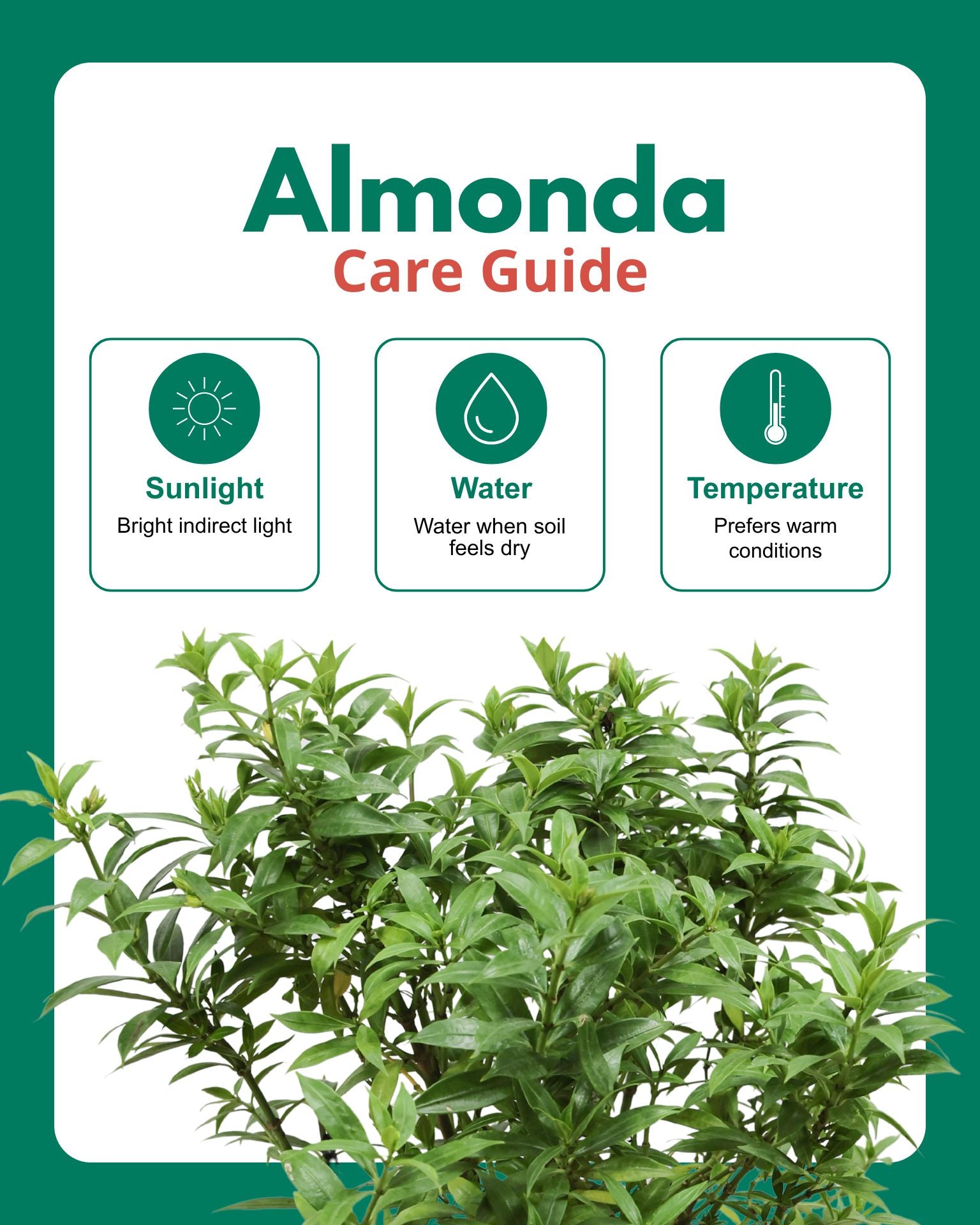 Almonda