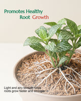 Cocopeat Block (~3 kg)