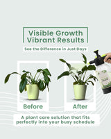 Green Diet (spray)