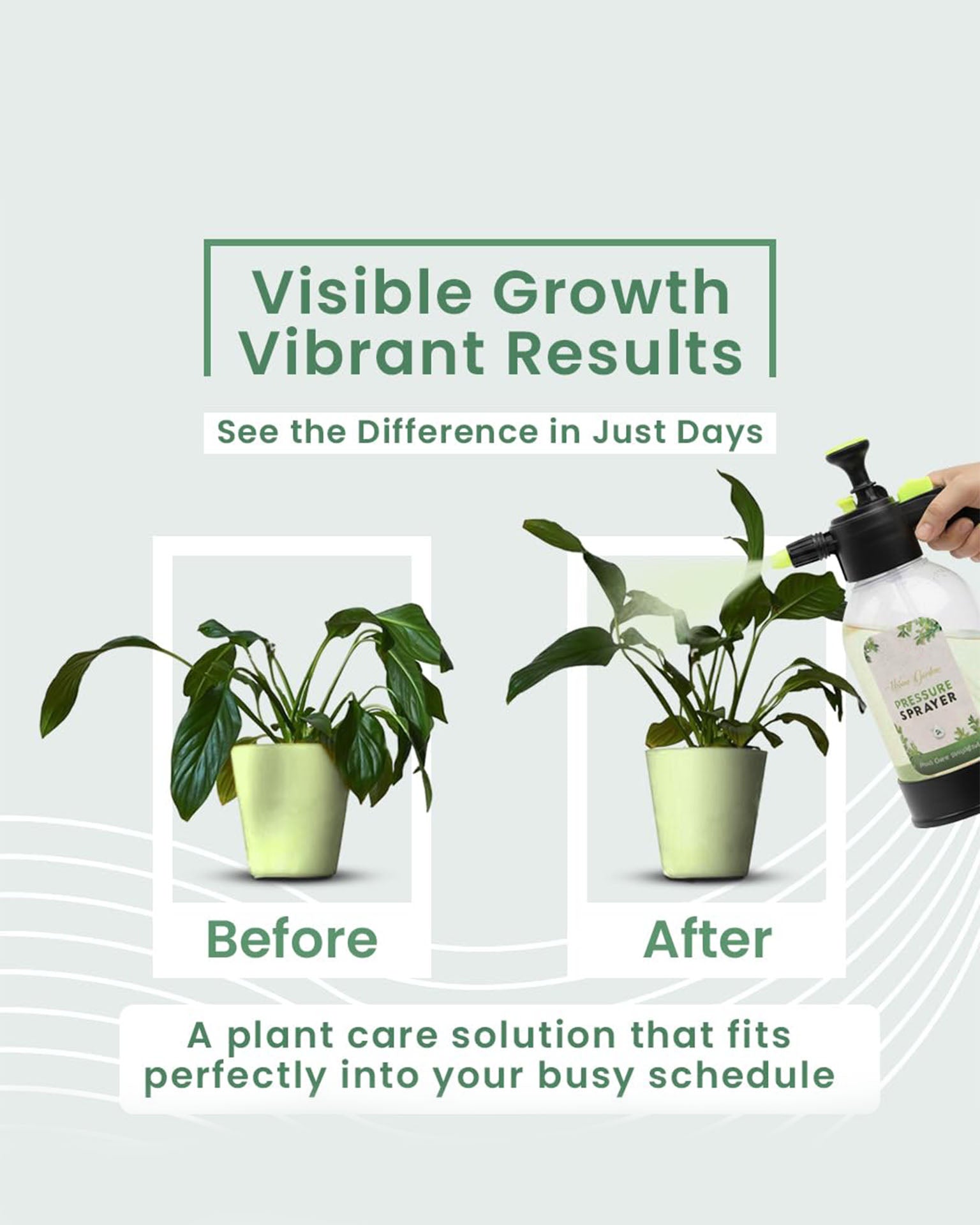 Green Diet (spray)