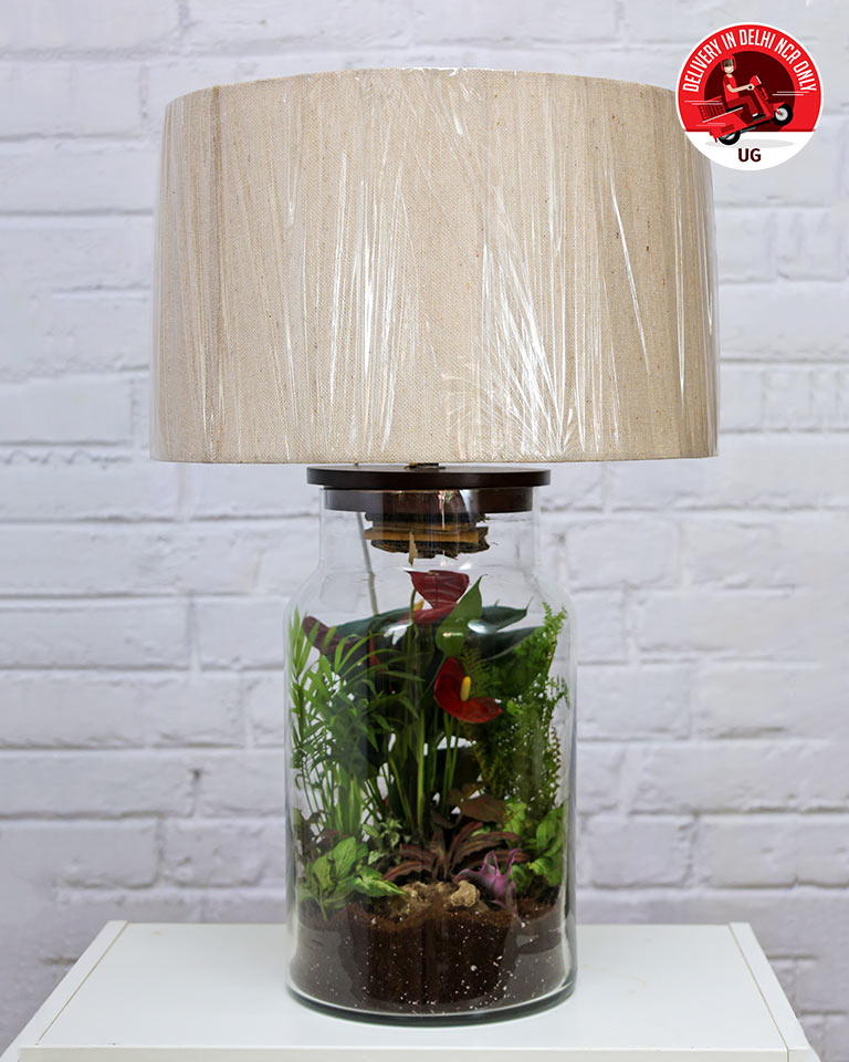 Terrrarium