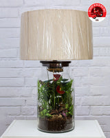 Terrrarium