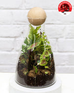 Terrrarium