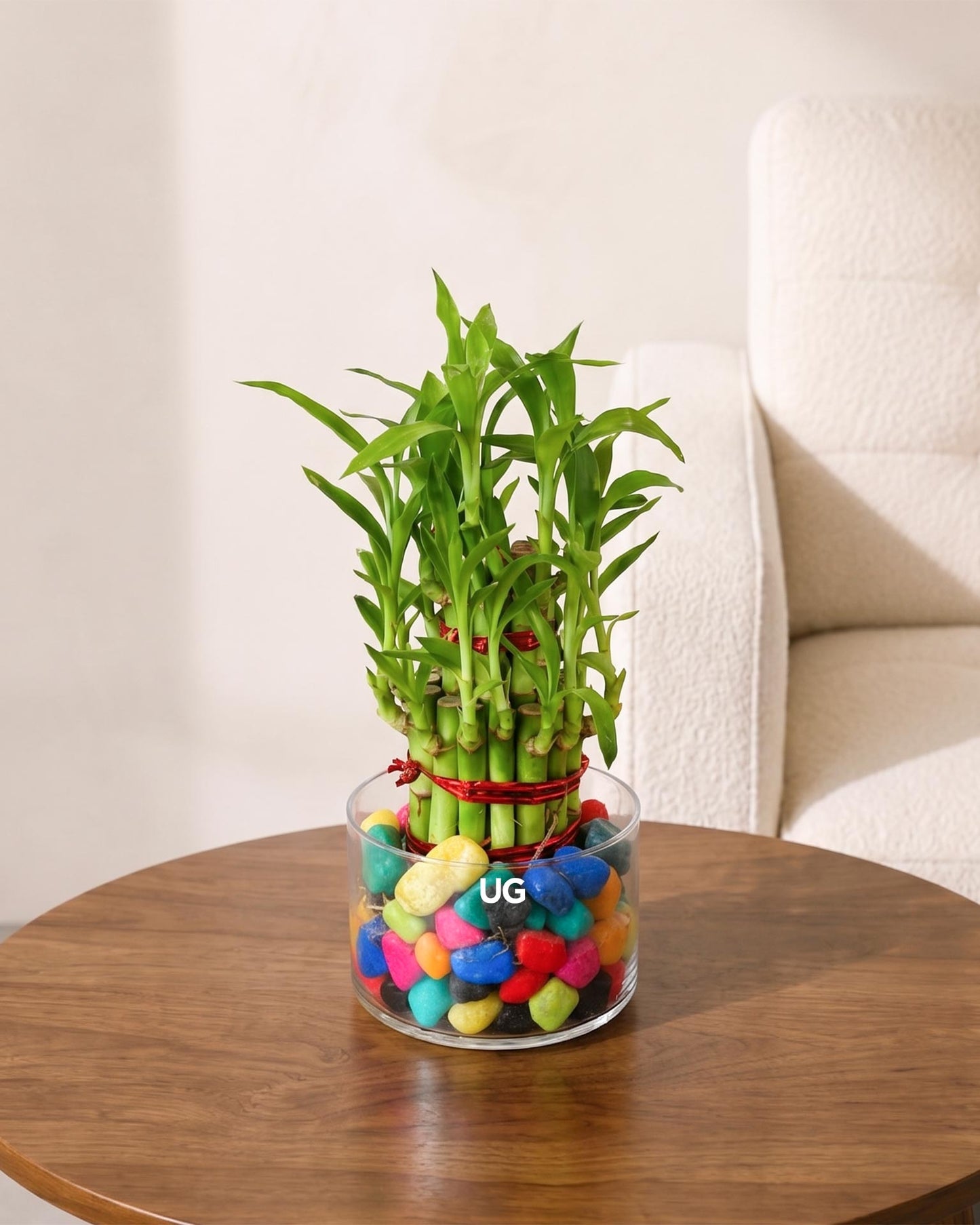 Lucky Bamboo 2 Layer Feng Shui Plant With Acrylic Pot and Stones