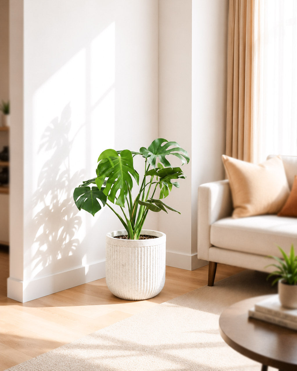 Monstera Deliciosa