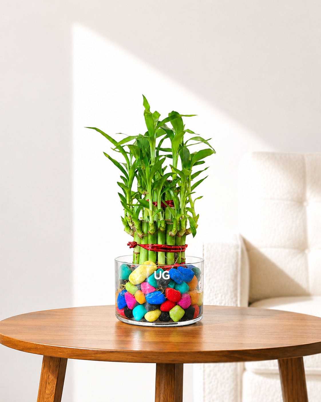 Lucky Bamboo 2 Layer Feng Shui Plant With Acrylic Pot and Stones