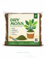 Dry Moss