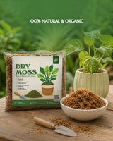 Dry Moss