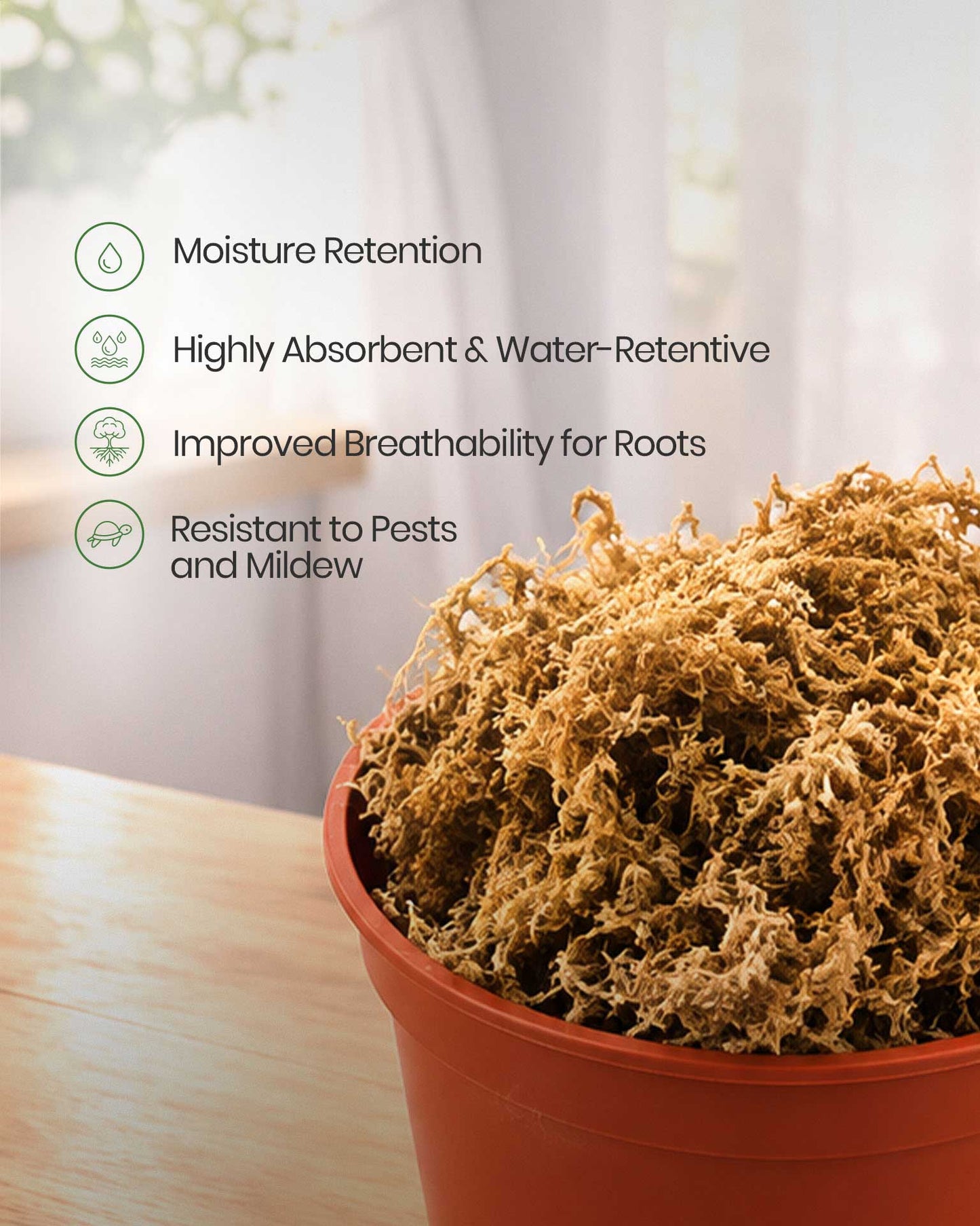 Dry Moss
