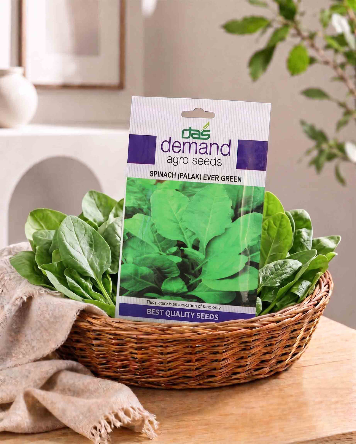 Spinach (Palak) Seeds Ever Green