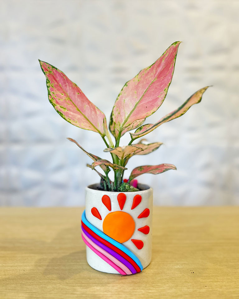 Rainbow Handmade Ceramic Planter