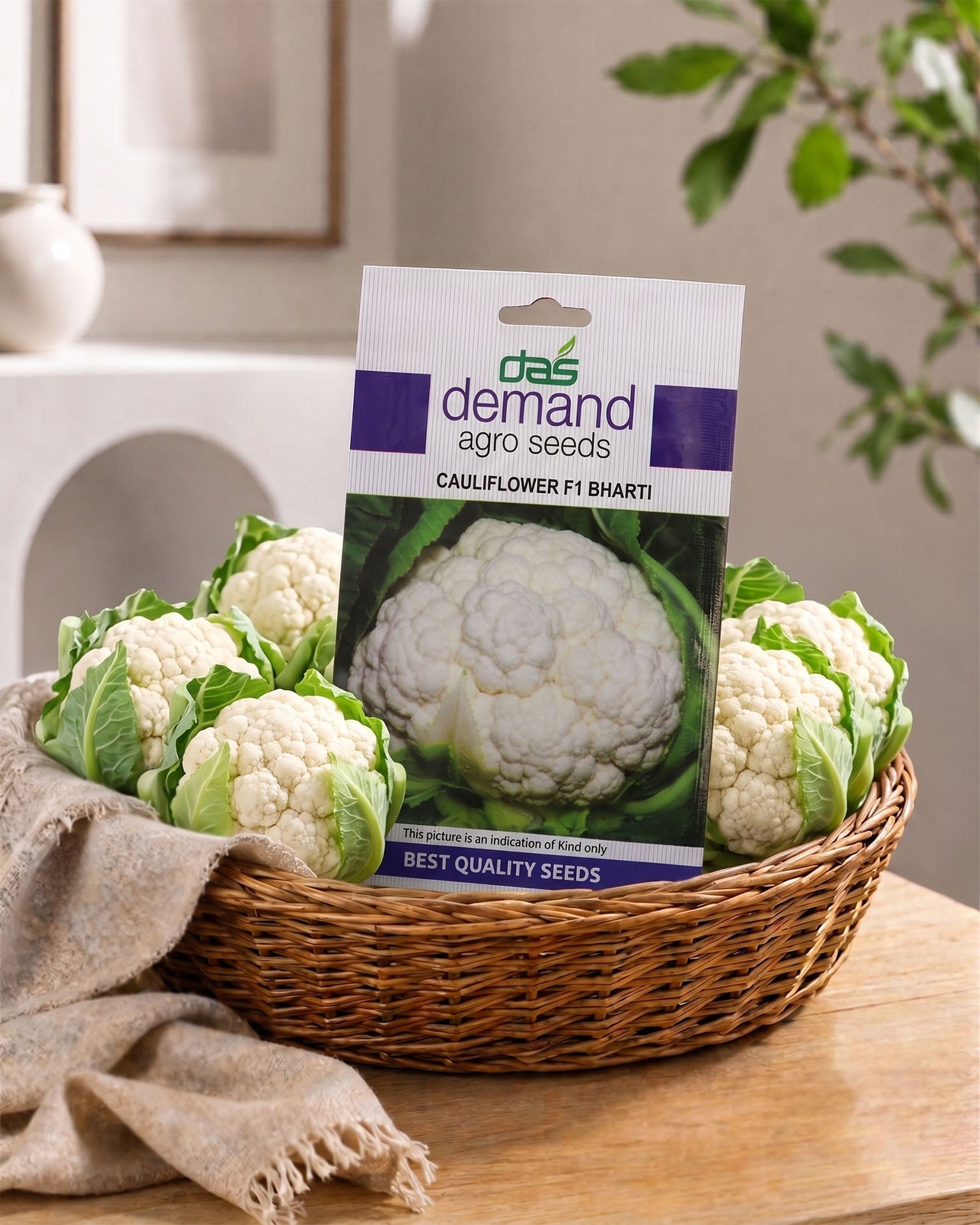 Cabbage F1 Manorma