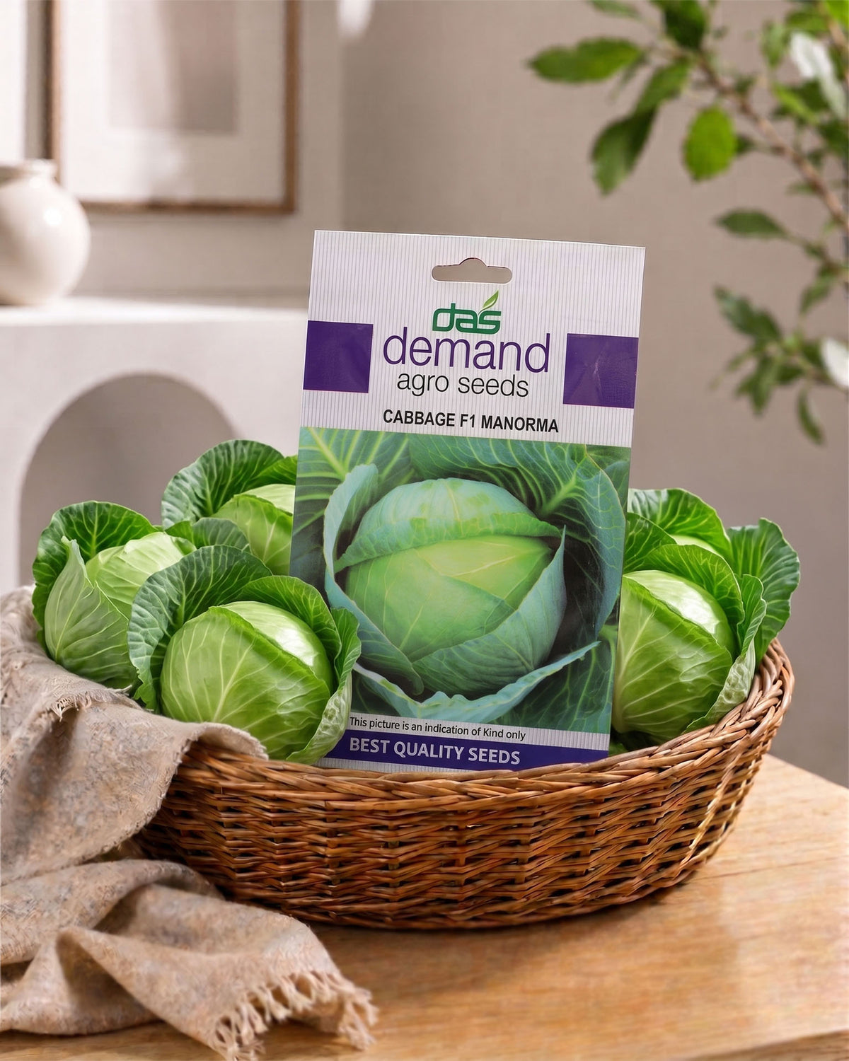 Cabbage Seeds (F1 Manorma)