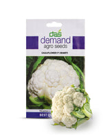 Cabbage F1 Manorma