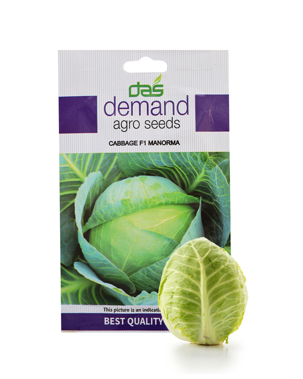 Cabbage Seeds (F1 Manorma)