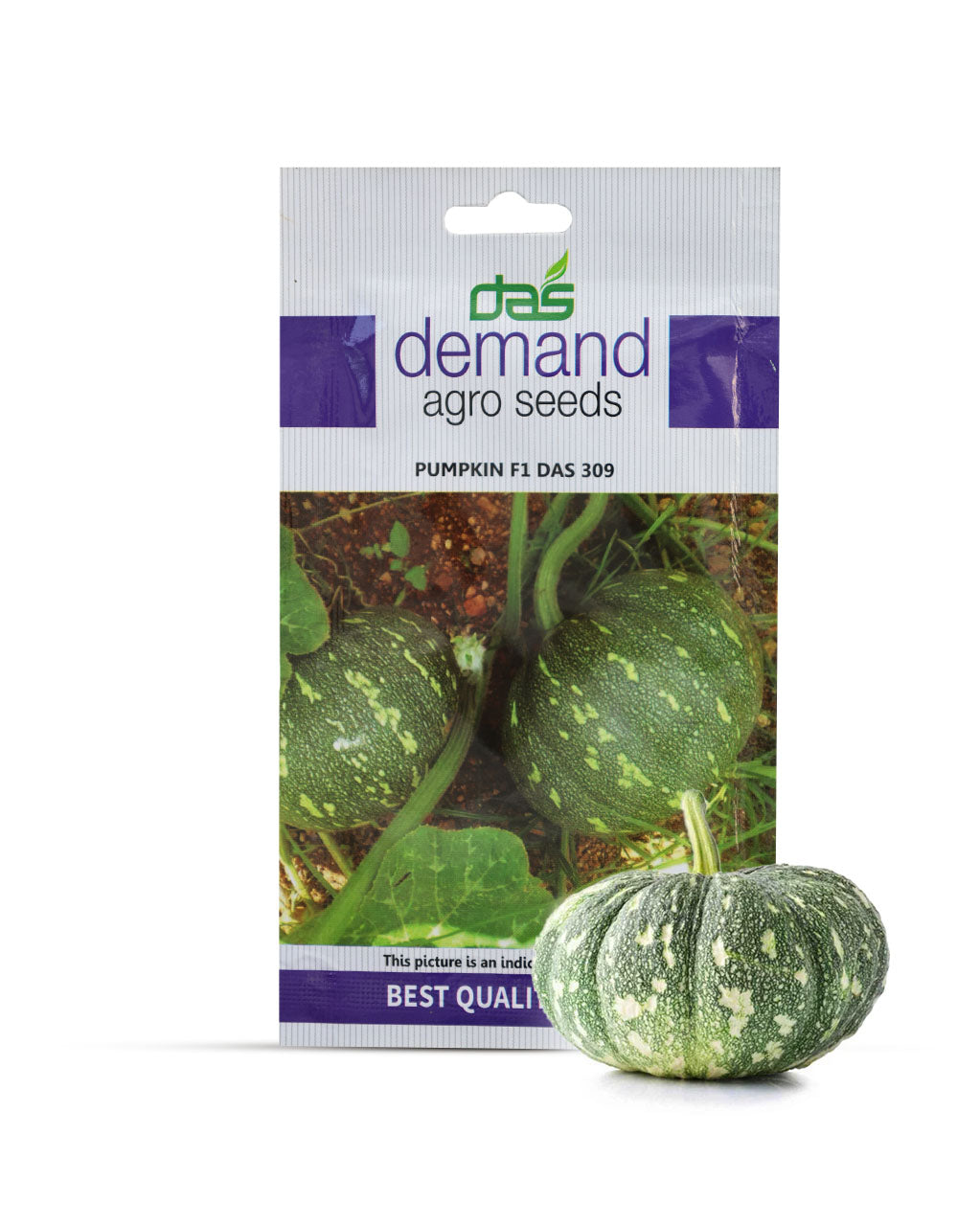 Pumpkin Seeds (F1)