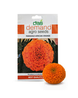 Marigold African-Orange Seeds