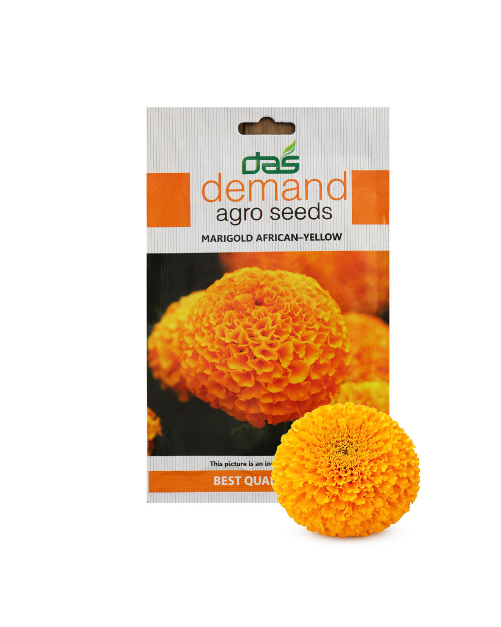 Marigold African-Yellow Seeds
