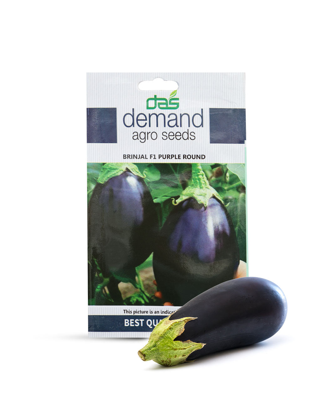 Brinjal F1 Purple Round