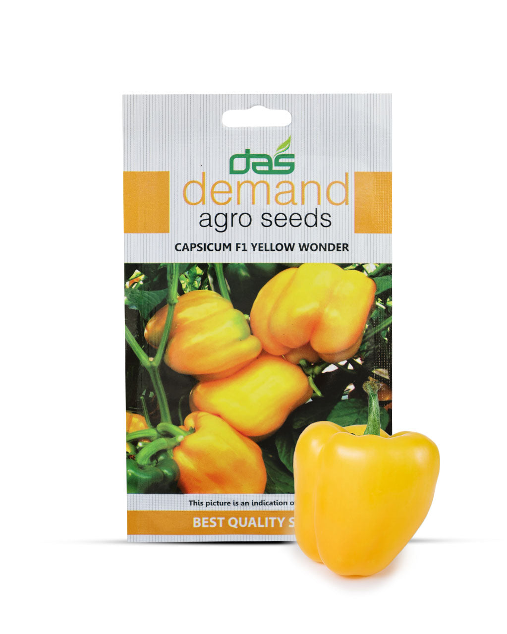 Capsicum F1 Yellow Wonder