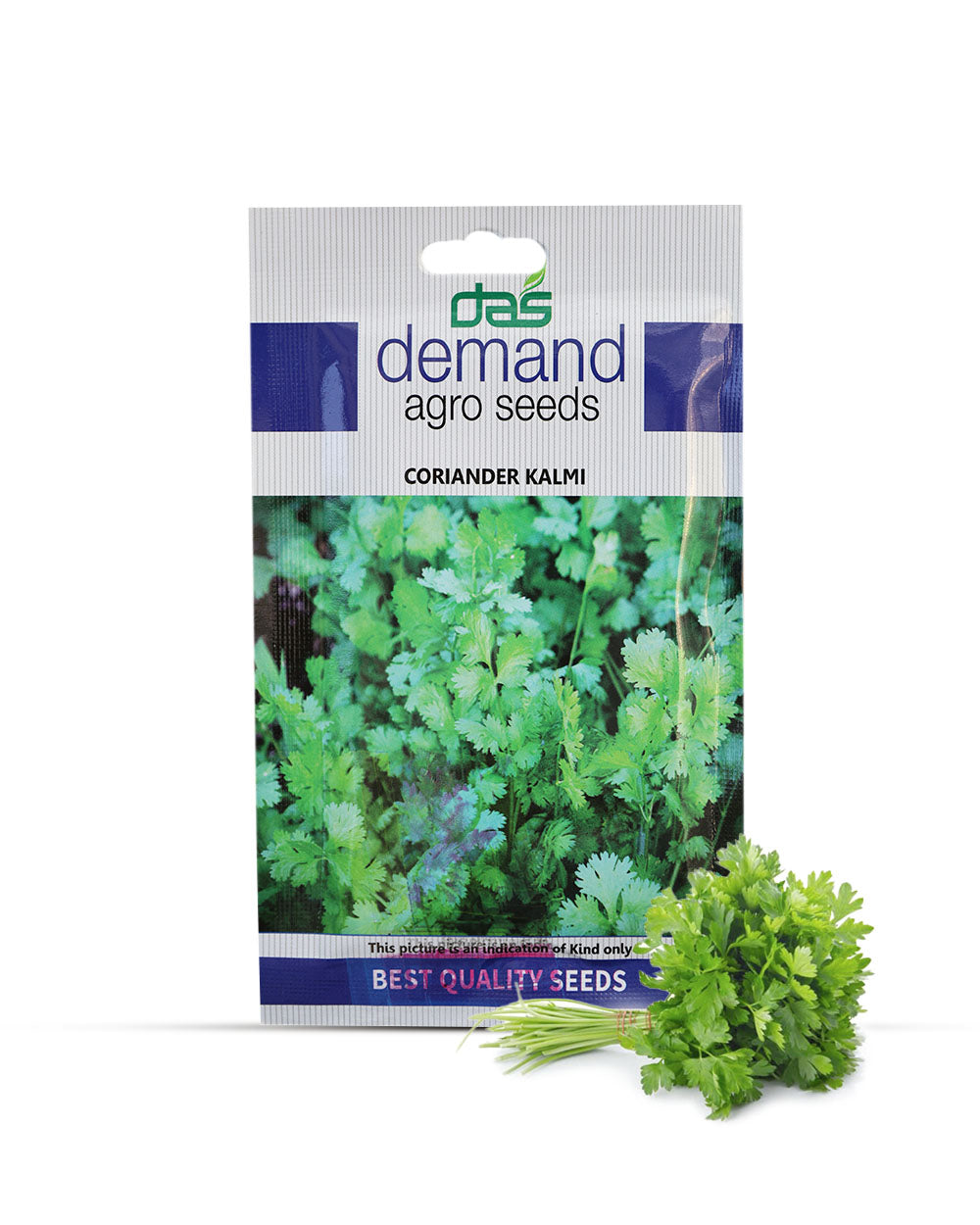 Coriander Kalmi