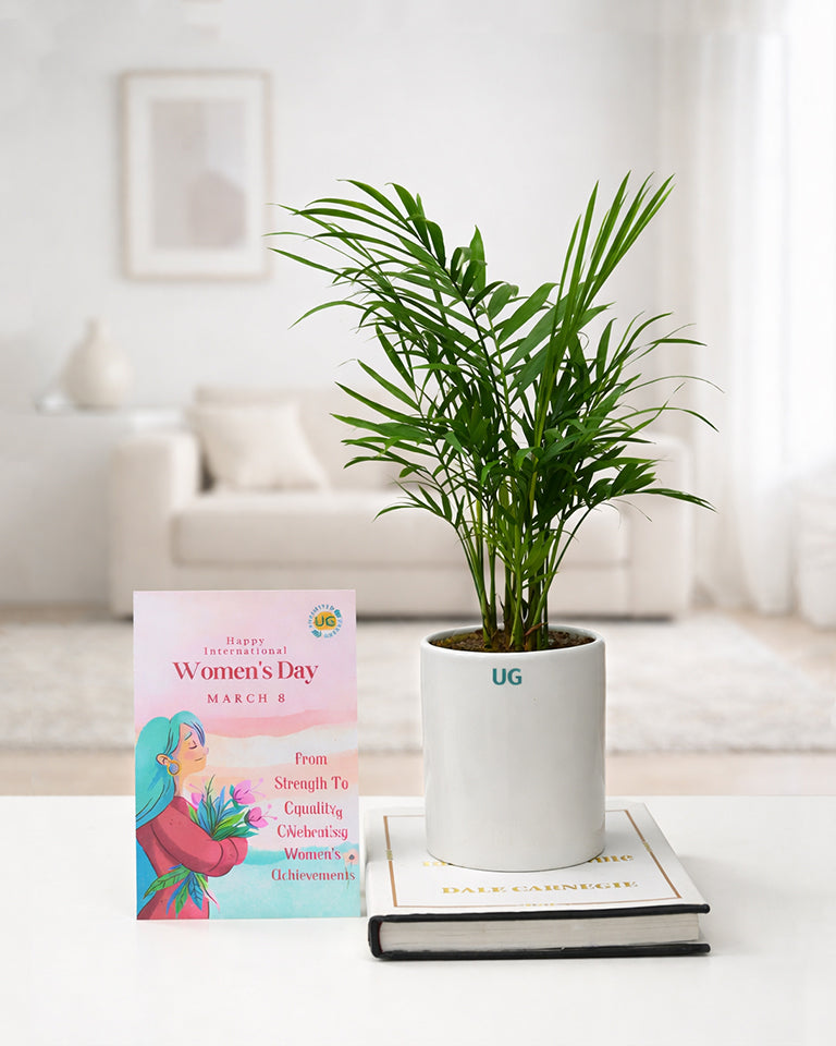 Chamaedorea- Women's Day Edition