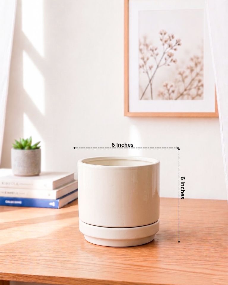 Ceramic Plain Planter